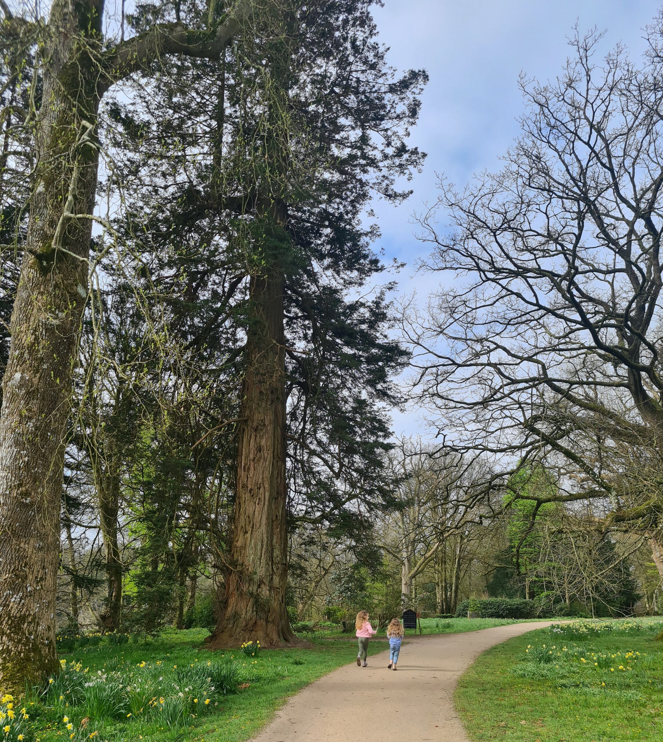 AdventWord 2022: Wilderness