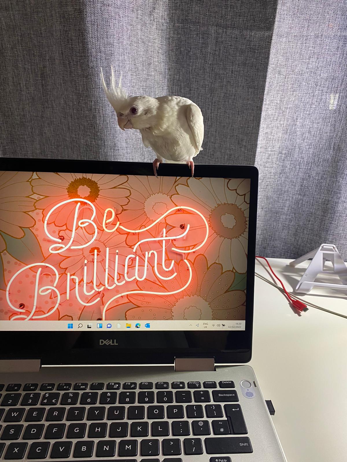 The Real MBS Managers & Supervisors