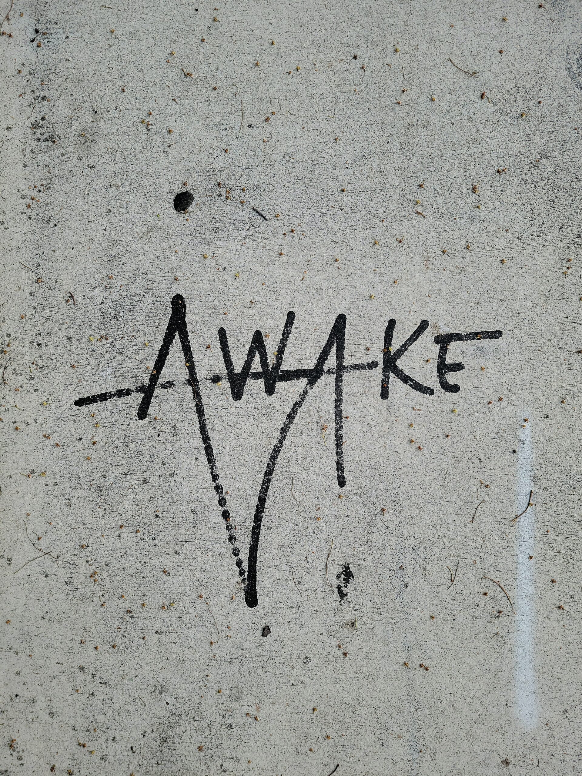 AdventWord 2023: Awake